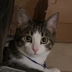 Meet your Posher, Briana